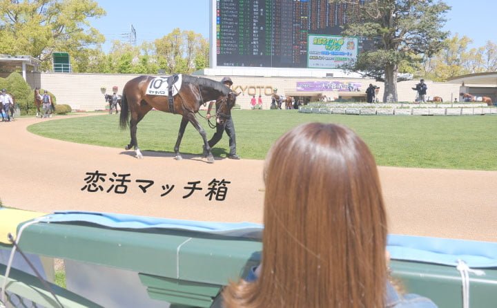 競馬女子 Umajo と出会いたい そんな同志にぼくの体験談を語る 恋活マッチ箱